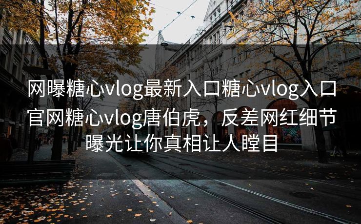 网曝糖心vlog最新入口糖心vlog入口官网糖心vlog唐伯虎，反差网红细节曝光让你真相让人瞠目