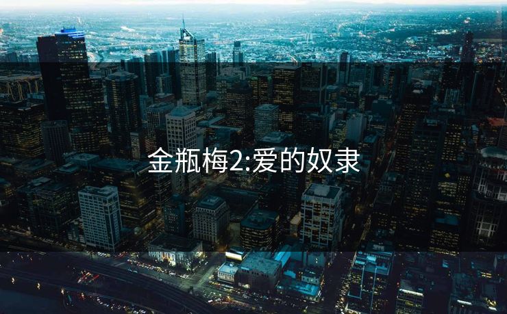 金瓶梅2:爱的奴隶