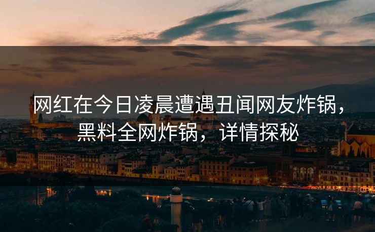 网红在今日凌晨遭遇丑闻网友炸锅，黑料全网炸锅，详情探秘